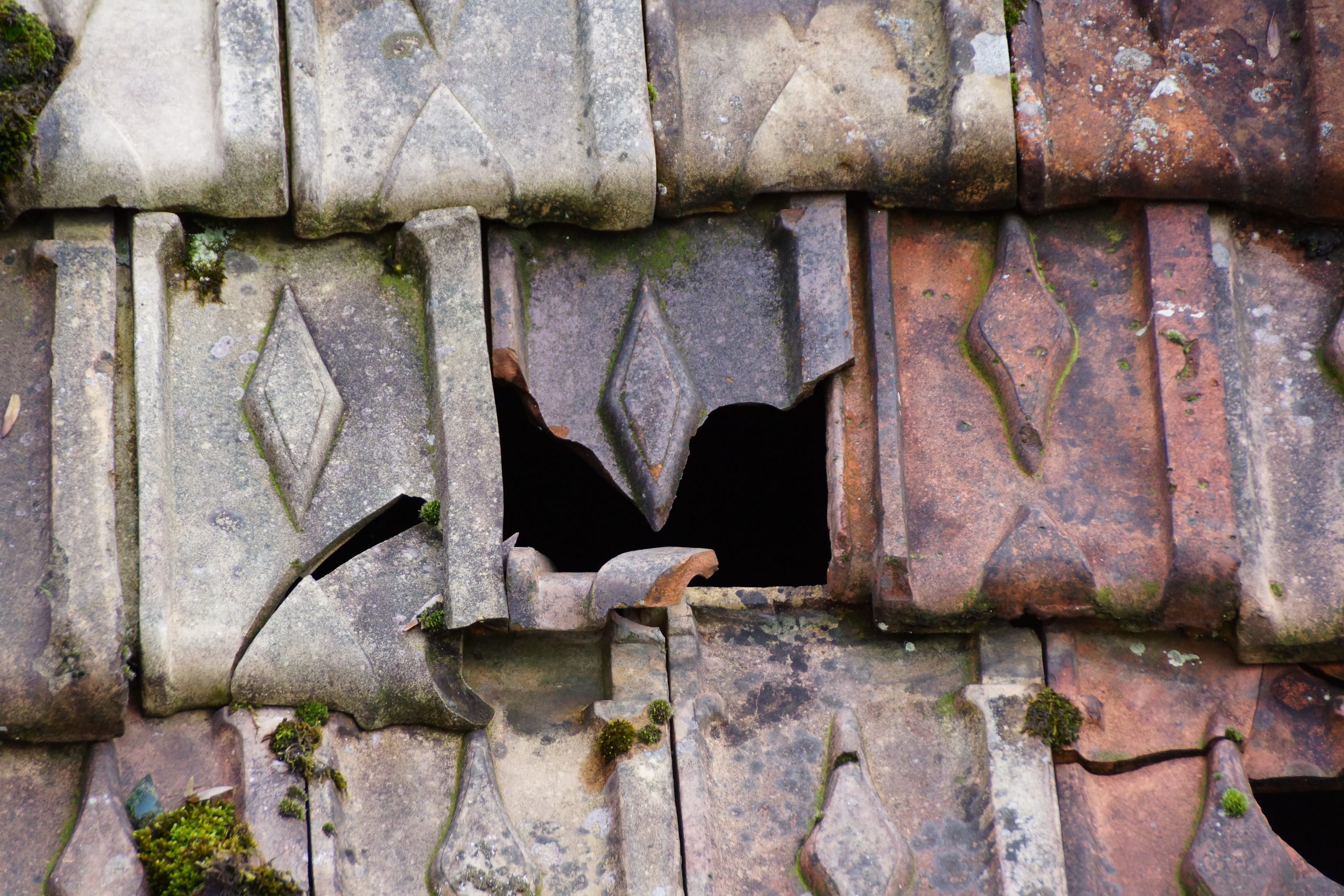 Spécialiste en travaux de toiture et fuite de toiture - Neuchâtel