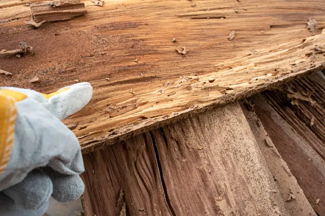 Charpentier - Couvreur - Ferblantier - Neuchâtel